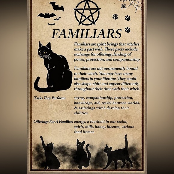 - $3 BLACK CAT STUD EARRINGS. STAINLESS STEEL. NEW. $3 if bundled - Picture 16 of 16